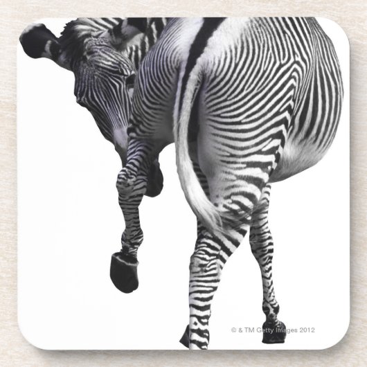 Zebra draaien drankjes onderzetter (Voorkant)
