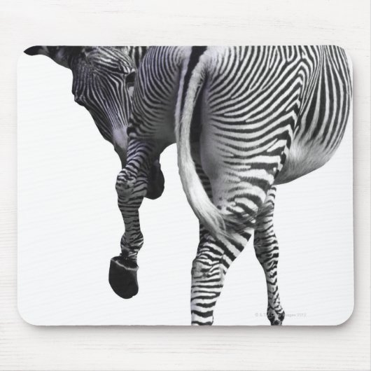 Zebra draaien om muismat (Voorkant)