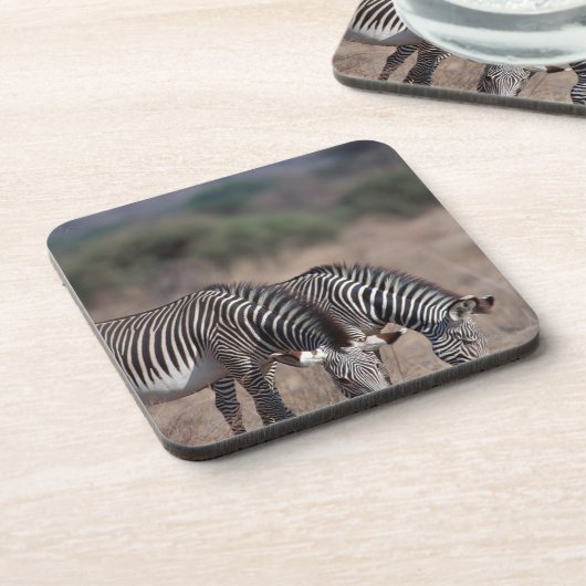 Zebra Drankjes Onderzetter (Linkerzijde)