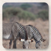 Zebra Drankjes Onderzetter (Voorkant)