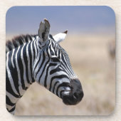 Zebra Drankjes Onderzetter (Voorkant)