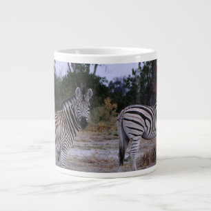 Zebra Dubbelzien Foto Grote Koffiekop