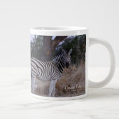 Zebra Dubbelzien Foto Grote Koffiekop (Rechts)