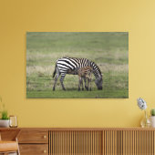 Zebra- en borstvoeding, Tanzania Canvas Afdruk (Insitu (Woonkamer))