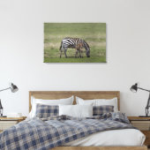 Zebra- en borstvoeding, Tanzania Canvas Afdruk (Insitu (Slaapkamer))