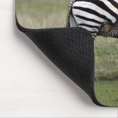 Zebra- en borstvoeding, Tanzania Muismat (Hoek)