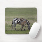 Zebra- en borstvoeding, Tanzania Muismat (Met muis)