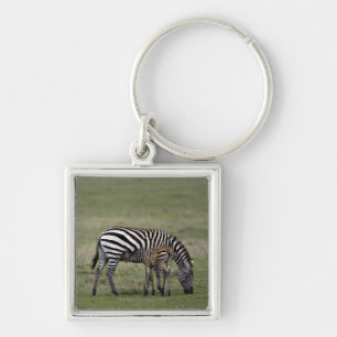 Zebra- en borstvoeding, Tanzania Sleutelhanger