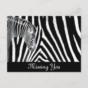 Zebra en het is stripe briefkaart