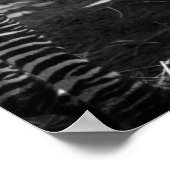zebra en kub poster (Hoek)