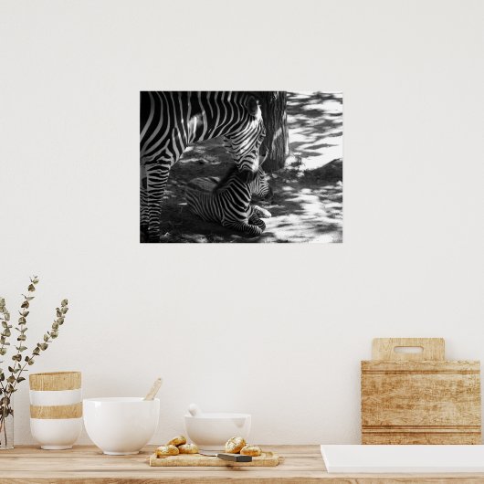 zebra en kub poster (Keuken)