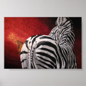 Zebra en Oxpecker Poster (Voorkant)
