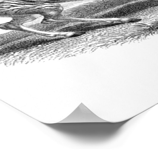 Zebra en Poster van landbouwhuisdieren (Hoek)