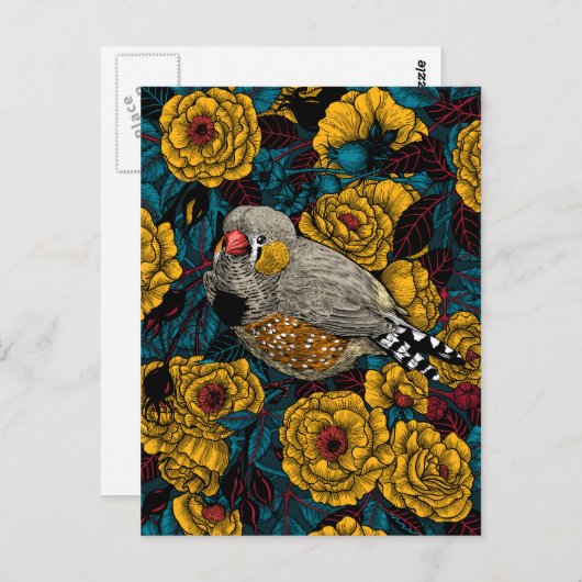 Zebra en roos struik briefkaart (Voorkant / Achterkant)