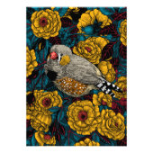 Zebra en roos struik foto afdruk (Voorkant)