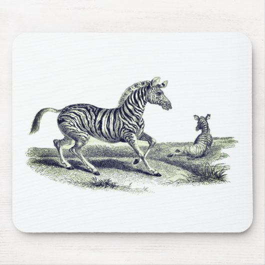  Zebra en wilde dieren Muismat (Voorkant)