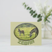 Zebra- en zebra-fauna safari-briefkaarten briefkaart (Staand voorkant)