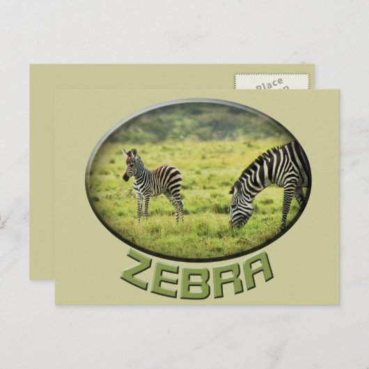 Zebra- en zebra-fauna safari-briefkaarten briefkaart (Voorkant / Achterkant)