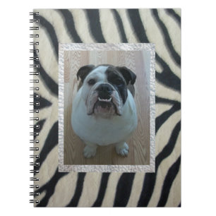 Zebra Engelse bulldog notebook Notitieboek