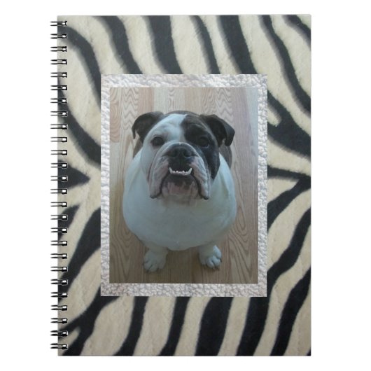 Zebra Engelse bulldog notebook Notitieboek (Voorkant)
