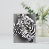 Zebra Entwined Gifts Briefkaart (Staand voorkant)