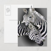 Zebra Entwined Gifts Briefkaart (Voorkant / Achterkant)