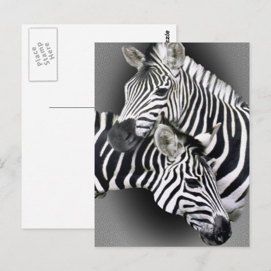 Zebra Entwined Gifts Briefkaart (Voorkant / Achterkant)