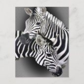 Zebra Entwined Gifts Briefkaart (Voorkant)