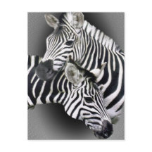Zebra Entwined Gifts