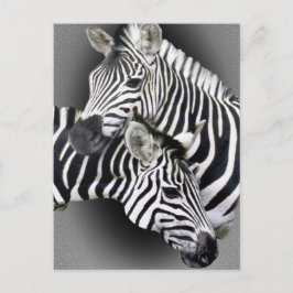 Zebra Entwined Gifts Briefkaart