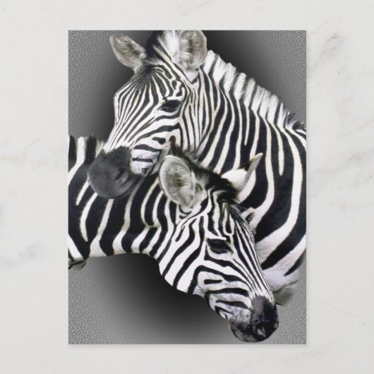 Zebra Entwined Gifts Briefkaart (Voorkant)