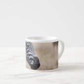 Zebra Espresso Kop (Voorkant rechts)