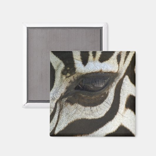 Zebra Eye Magnet (Voorkant / Achterkant)