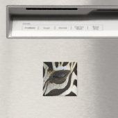 Zebra Eye Magnet (Insitu (Vaatwasser))