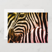 Zebra Face Briefkaart (Voorkant / Achterkant)