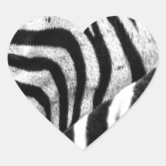 Zebra Face Hart Sticker (Voorkant)