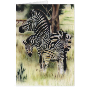 "Zebra Familie"