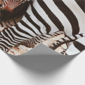 ZEBRA FAMILIE CADEAUPAPIER (Hoek)