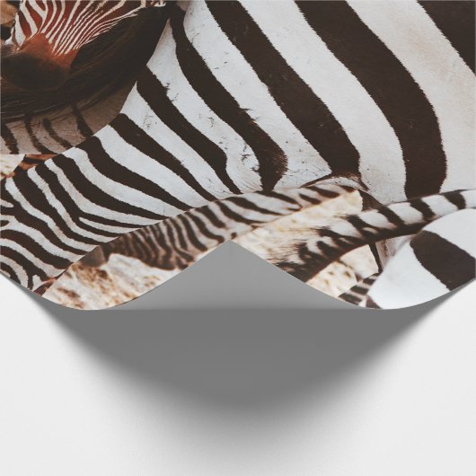 ZEBRA FAMILIE CADEAUPAPIER (Hoek)