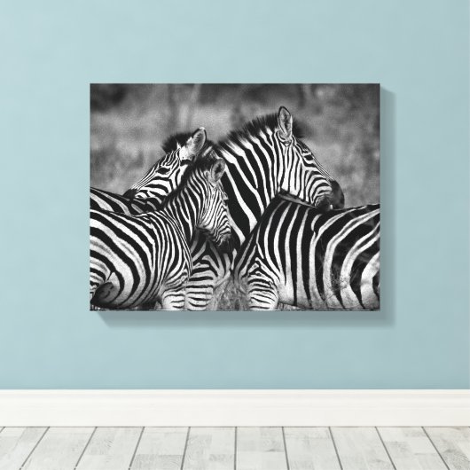 Zebra familie canvas afdruk (Insitu (Houten vloer))