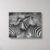 Zebra familie canvas afdruk (Voorkant)
