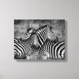 Zebra familie canvas afdruk