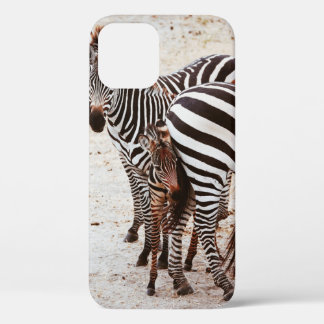 ZEBRA FAMILIE Case-Mate iPhone CASE