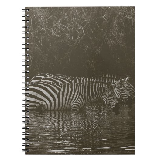 ZEBRA FAMILIE DRINK NOTITIEBOEK (Voorkant)