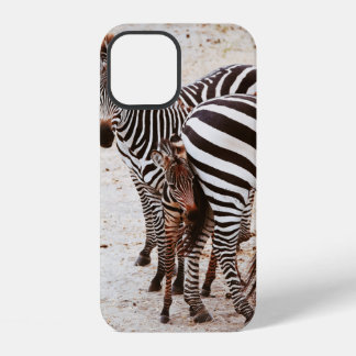 ZEBRA FAMILIE iPhone 12 HOESJE