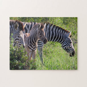 zebra familie legpuzzel