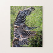 zebra familie legpuzzel (Verticaal)