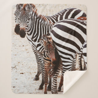 ZEBRA FAMILIE SHERPA DEKEN