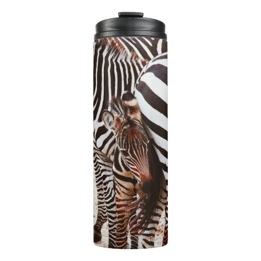 ZEBRA FAMILIE THERMOSBEKER (Voorkant)
