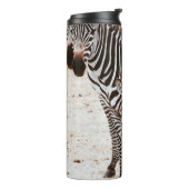 ZEBRA FAMILIE THERMOSBEKER (Gedraaid links)